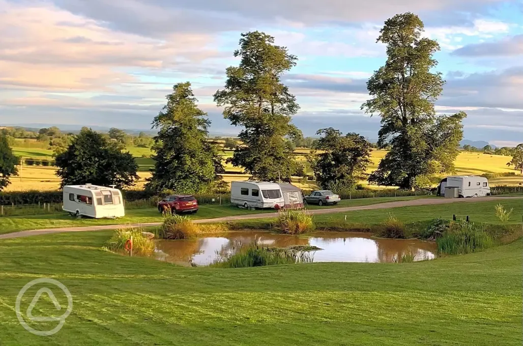 Electric grass pitches 