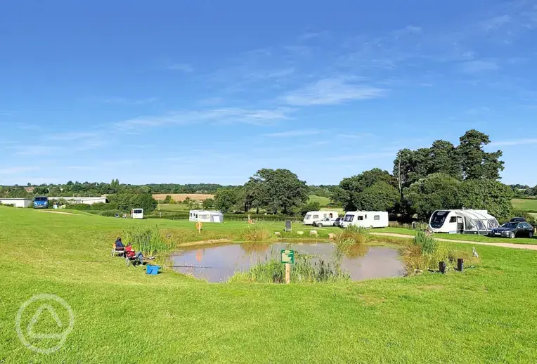 Electric grass pitches 