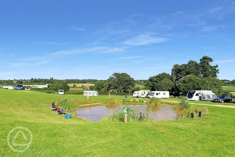 Electric grass pitches 