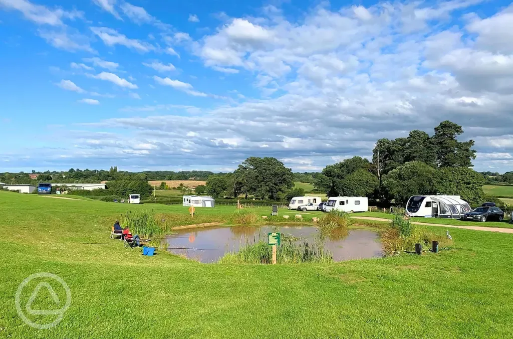 Electric grass pitches 