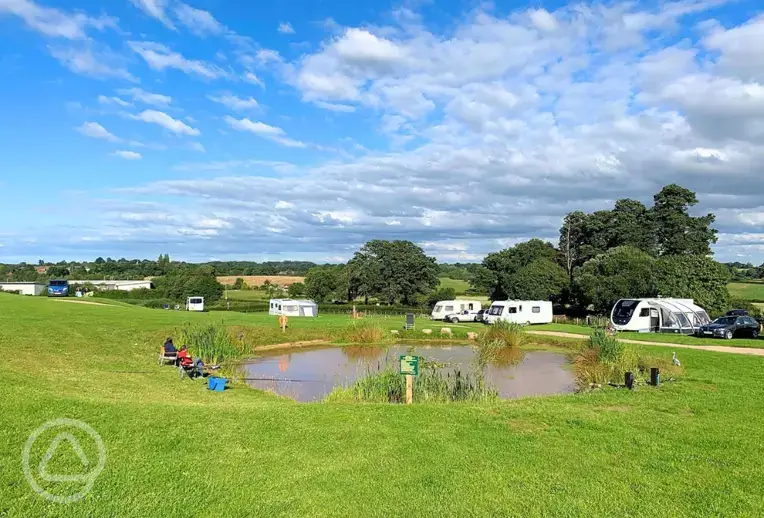 Electric grass pitches 