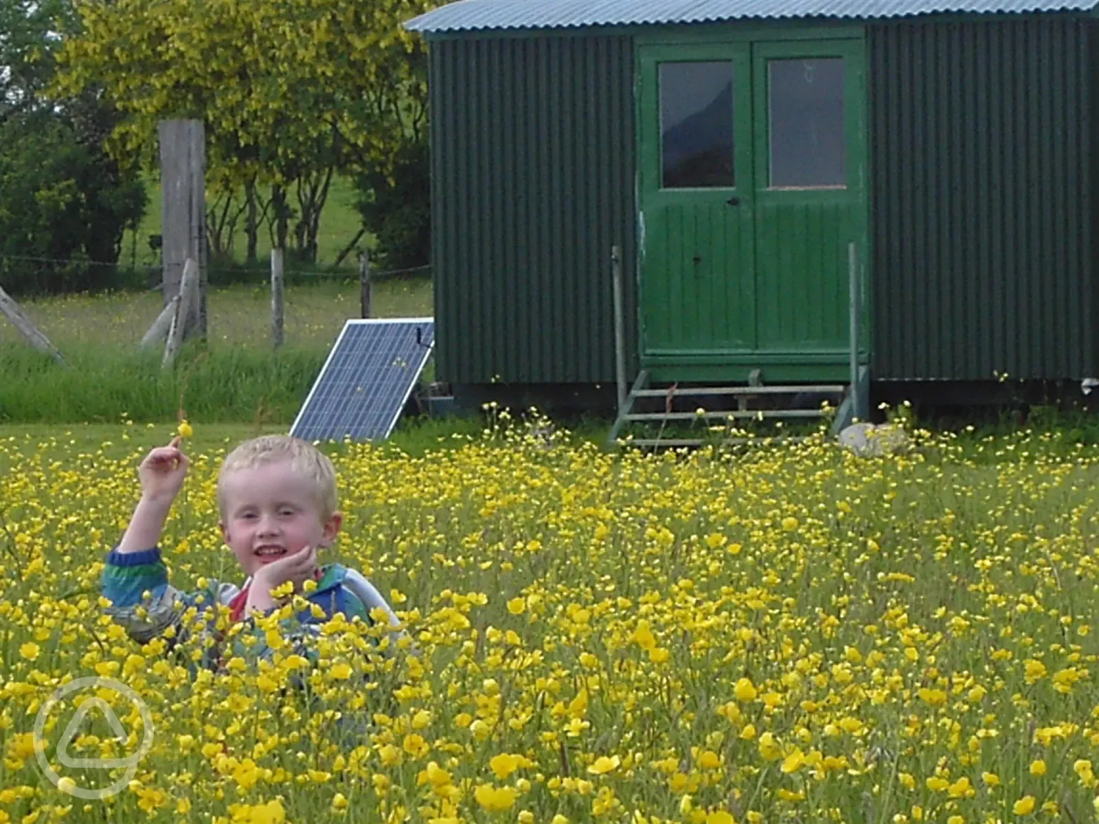 The shepherds hut paddock in full bloom