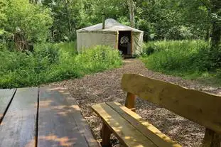 Wyld Wood Campsite, Newick, Lewes, East Sussex (12 miles)