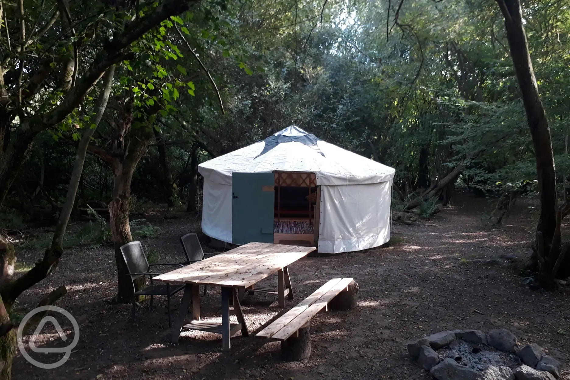 Woodpecker yurt