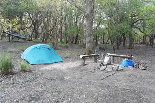Wyld Wood Campsite, Newick, Lewes, East Sussex