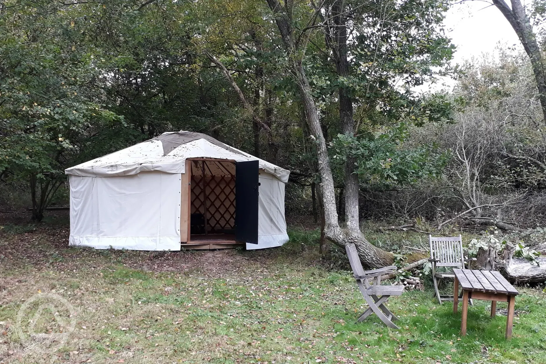 Badger yurt
