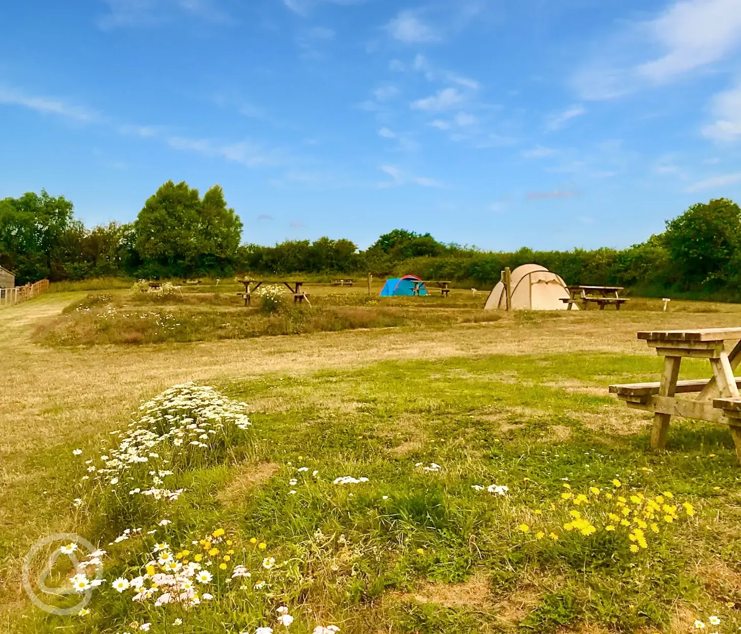 Grass tent pitches 