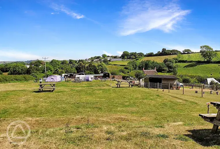 Grass tent pitches 