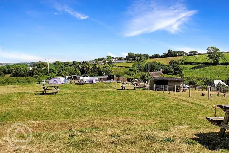 Grass tent pitches 