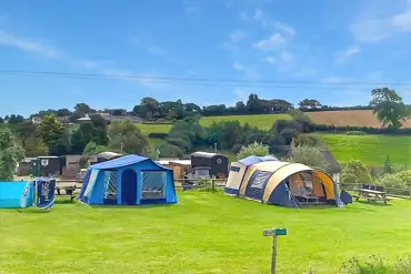 Grass tent pitches 