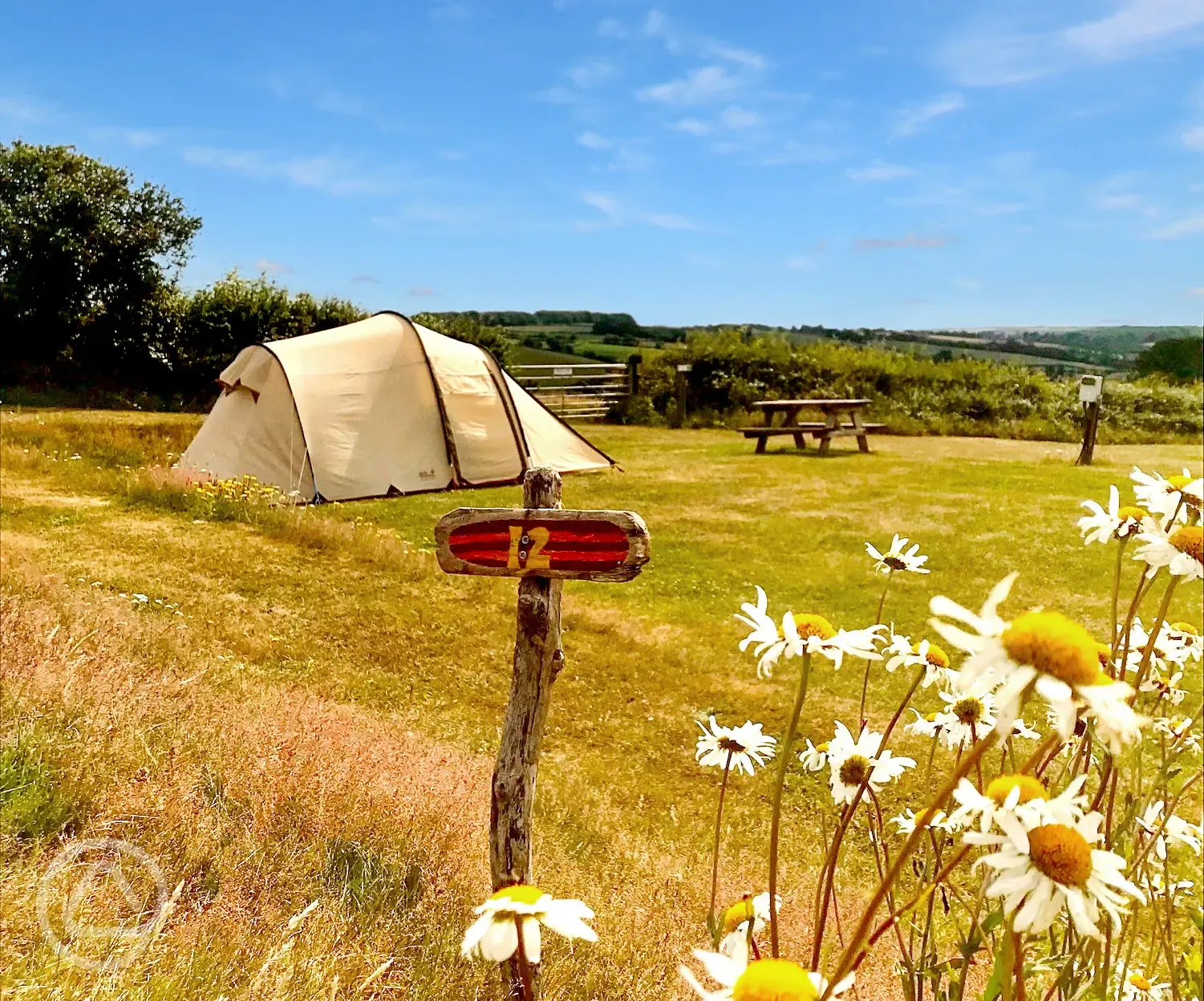 Grass tent pitches 