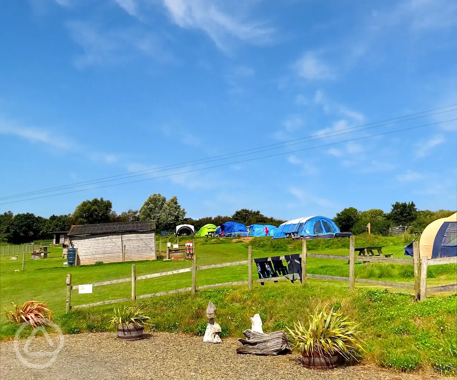 Grass tent pitches 