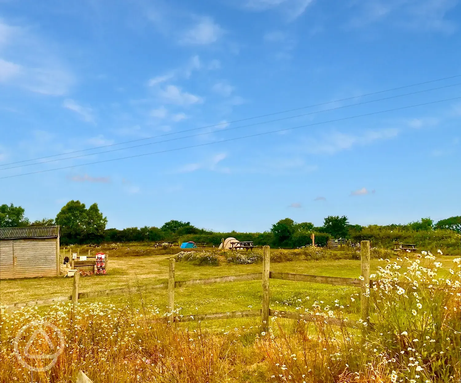 Grass tent pitches 