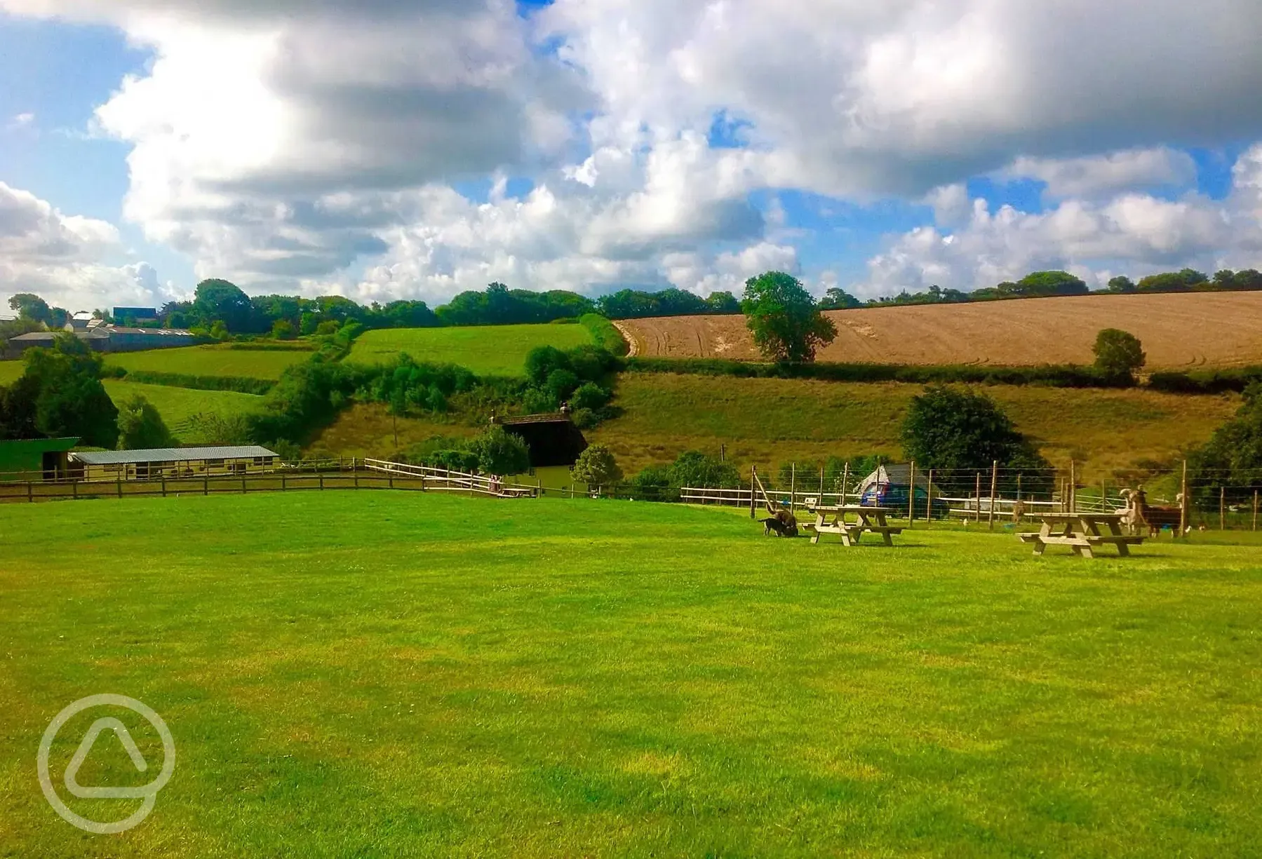 Grass tent pitches 