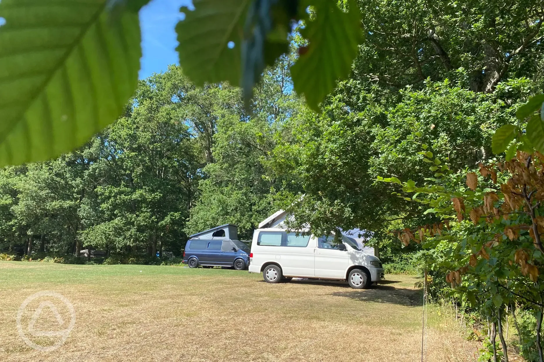 Meadow campervan pitches