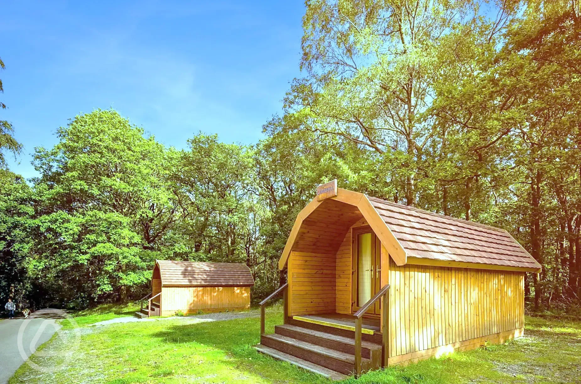 Wooden camping pods backed by trees at Coniston Experience Freedom Glamping