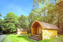 Wooden camping pods backed by trees at Coniston Experience Freedom Glamping Wooden camping pods backed by trees at Coniston Experience Freedom Glamping