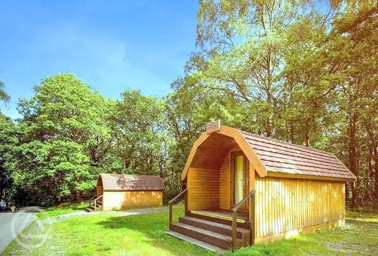 Wooden camping pods backed by trees at Coniston Experience Freedom Glamping