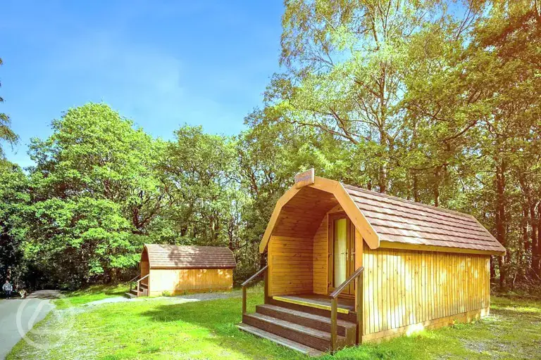 Wooden camping pods backed by trees at Coniston Experience Freedom Glamping