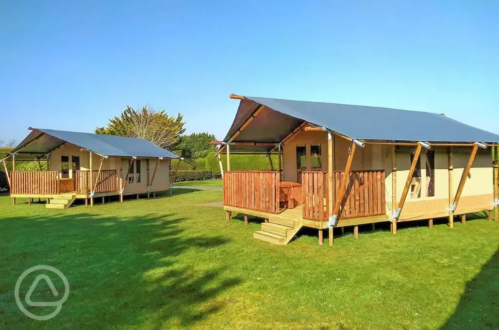 Safari tents