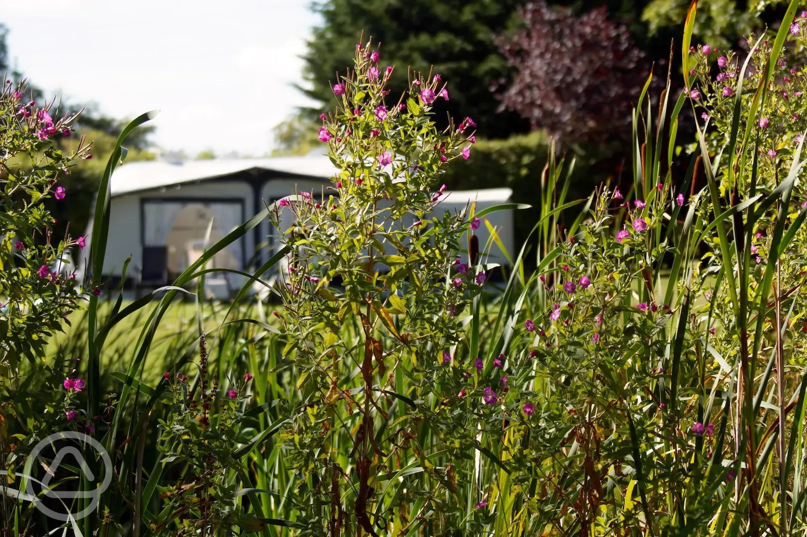 View from Across pond to our Motorhome Grass Pitch Pond View