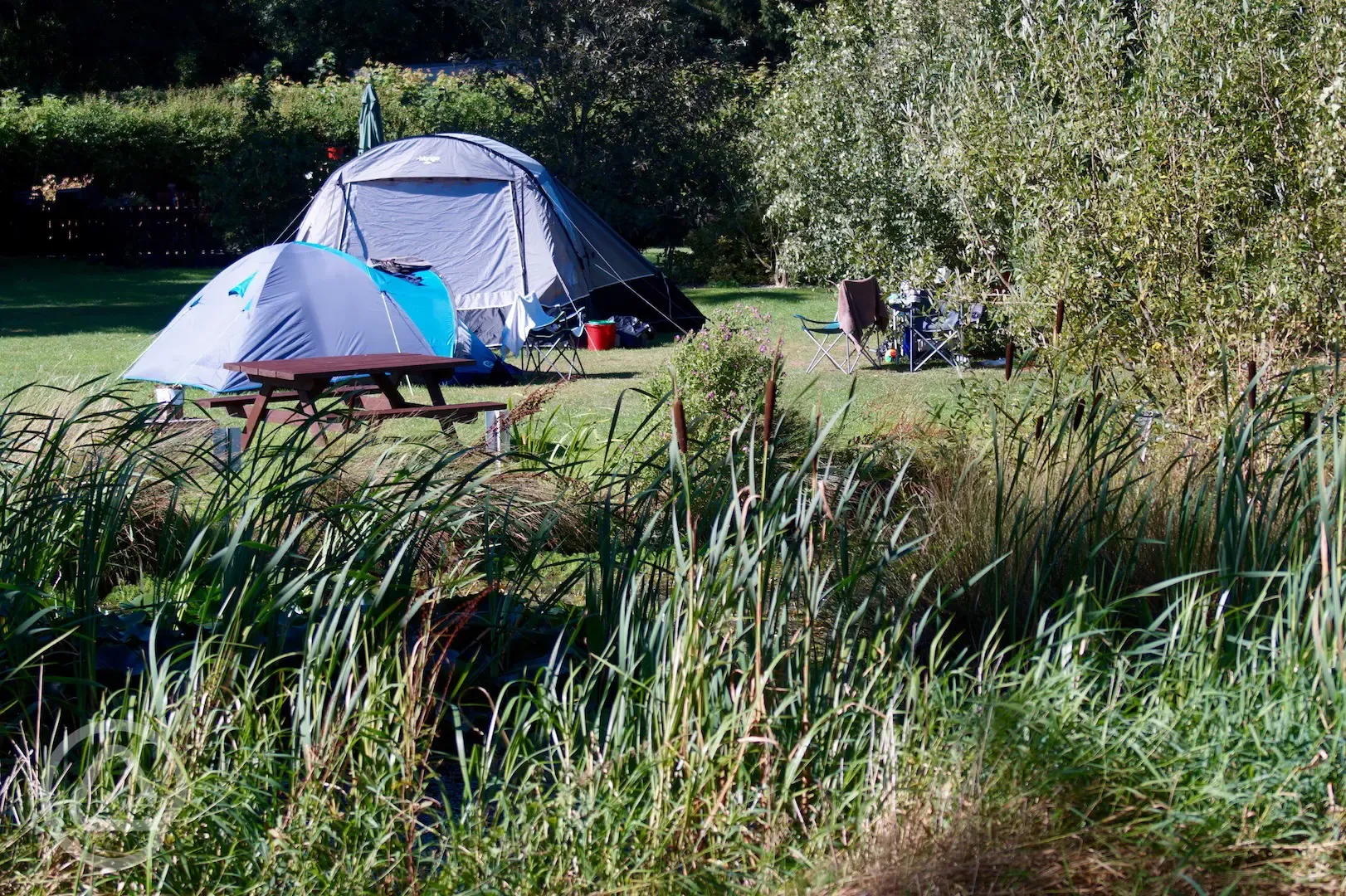 View from behind Pond to Camping Pitch in front of play Area