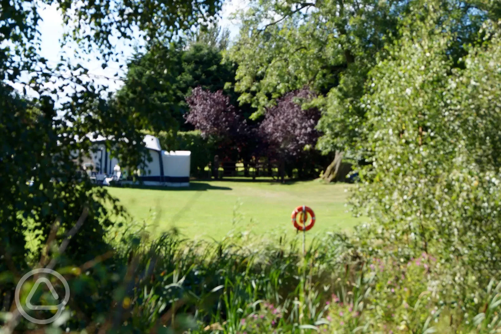 View from behind pond to Motorhome pitch along side gate