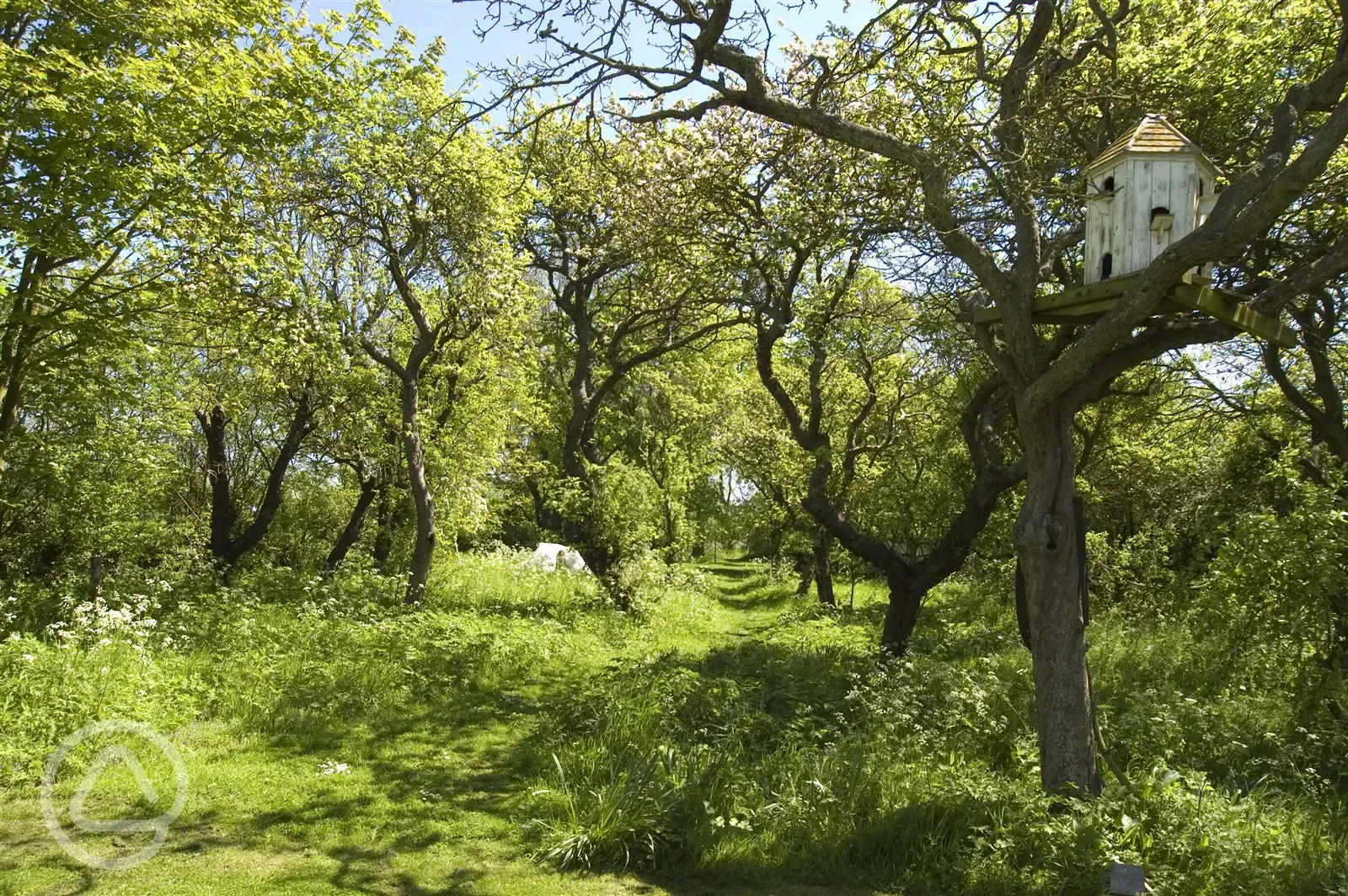 Orchard and Grounds