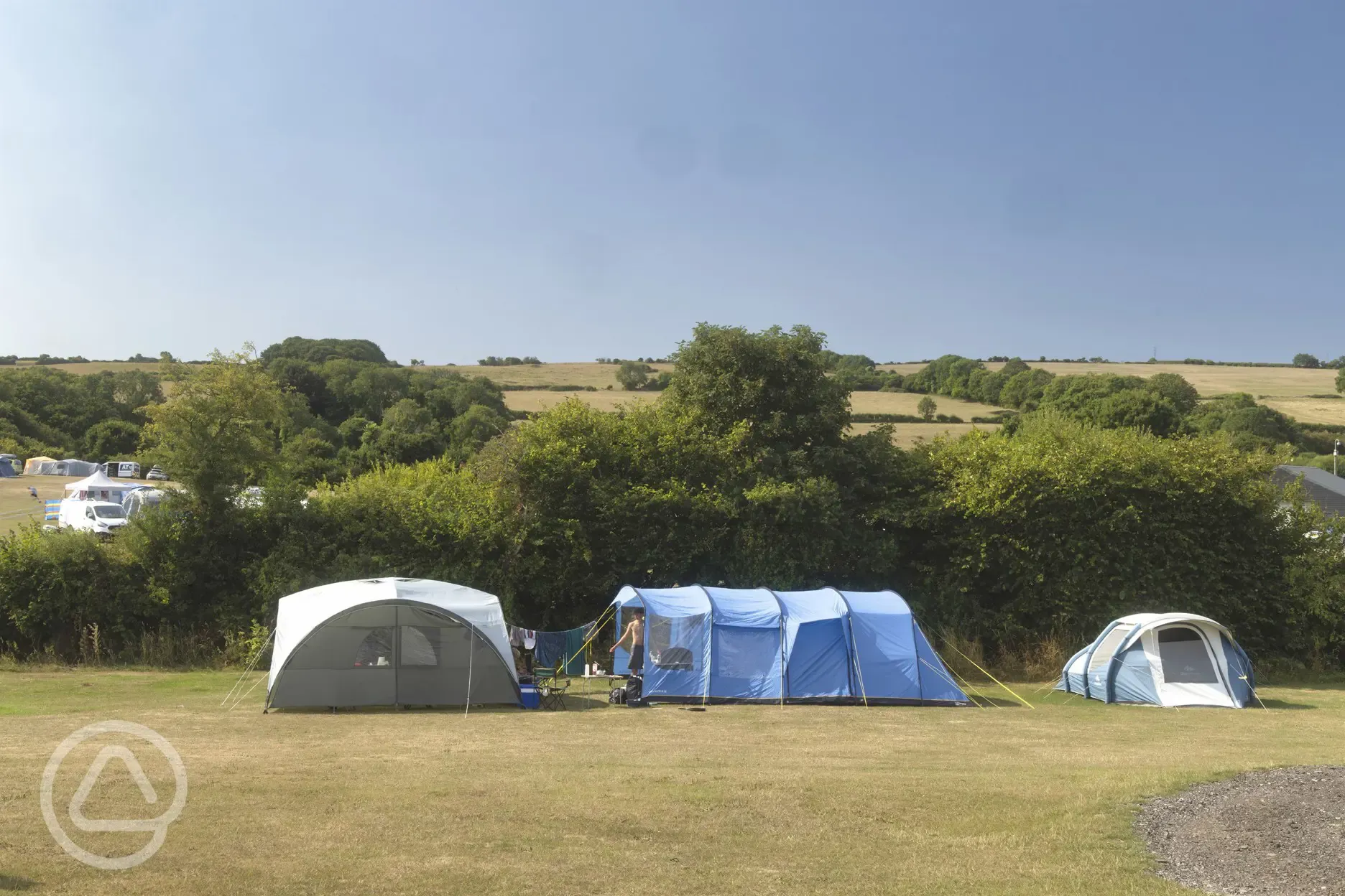 Electric grass pitches