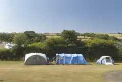 Electric grass pitches
