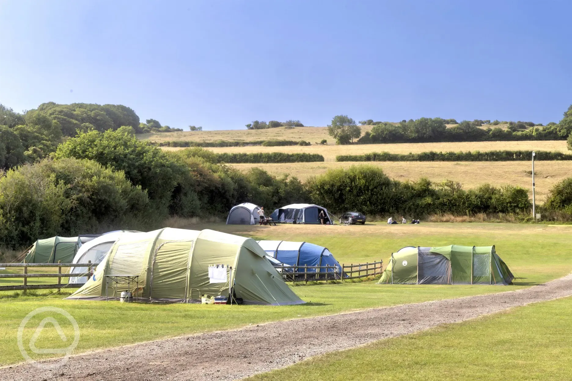 Electric grass pitches