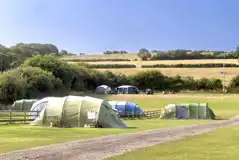Electric grass pitches