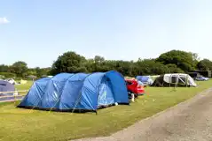 Electric grass pitches for tents and tourers