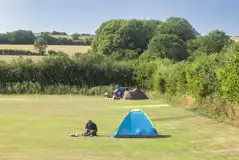 Non electric grass pitches