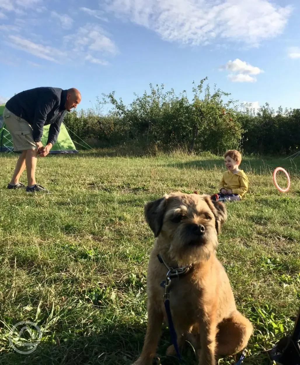 Dogs stay for free (on suitable pitches)