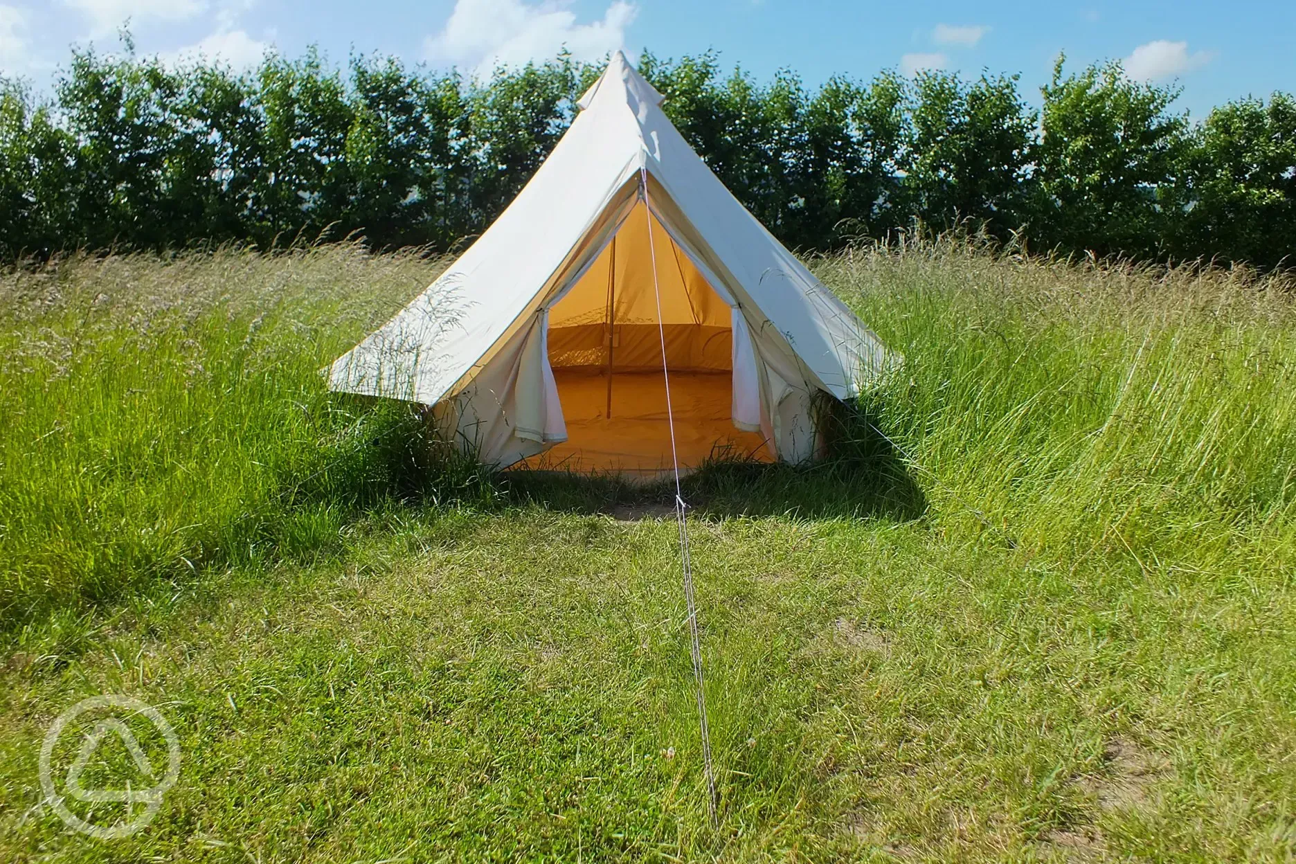 Bell tent amongst grass