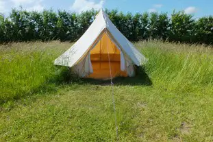 Fallow Fields Camping at Selson Farm, Eastry, Kent (10.8 miles)