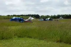 Non electric grass pitches