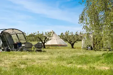Bell tent and the orchard pitches