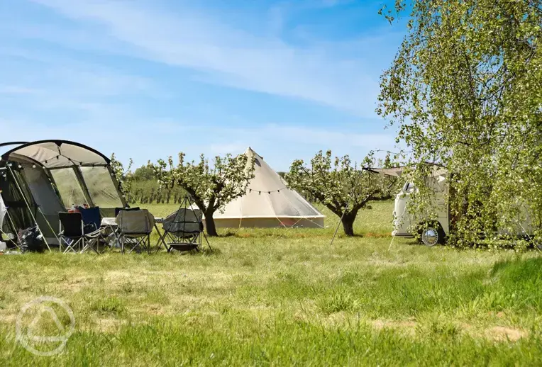 Bell tent and the orchard pitches