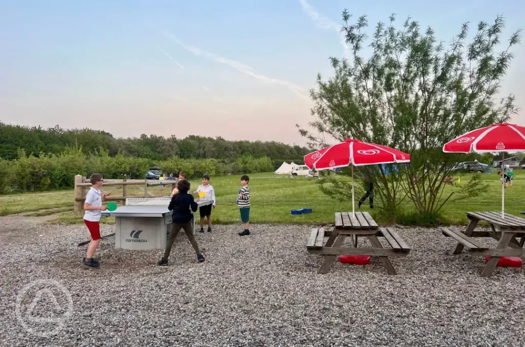 Table tennis, swingball, badminton, kids cinema, bush craft, archery and crafts