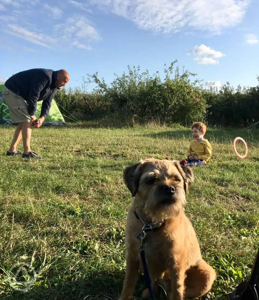 Dog friendly