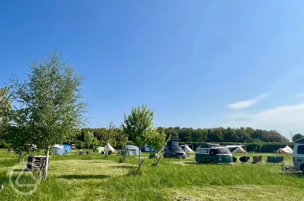 Campervans and trailer tents also welcome