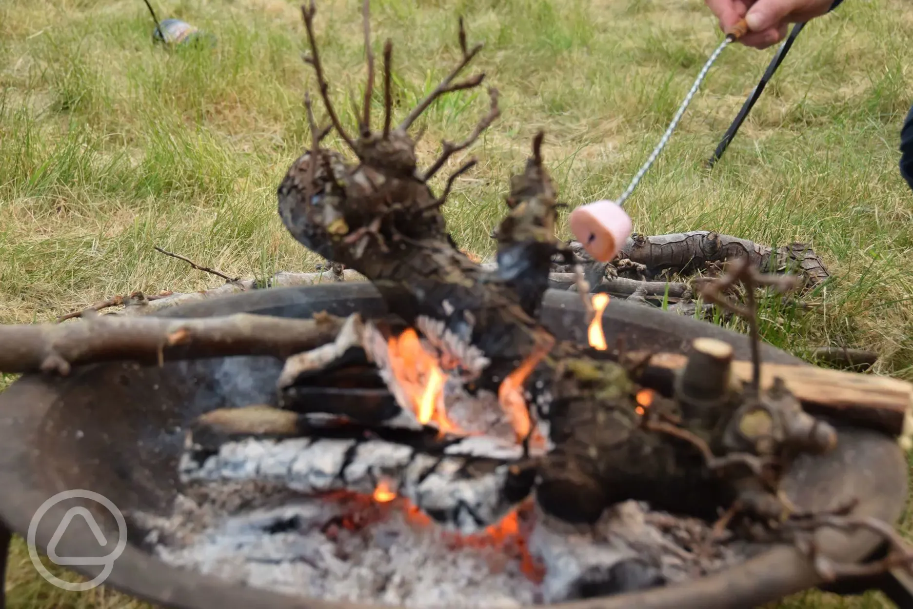 Toasting marshmallows on the fire pit