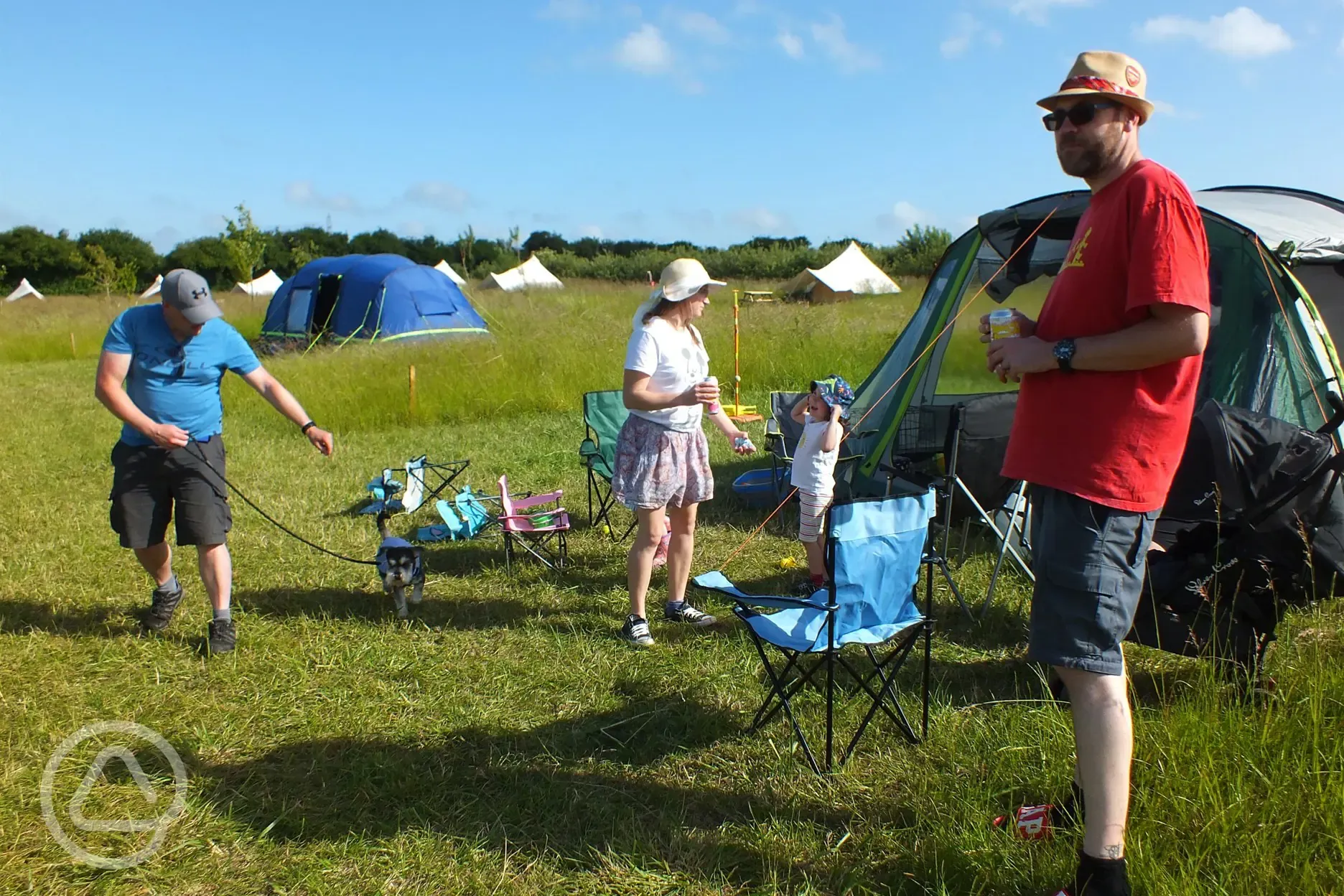 Grass pitches