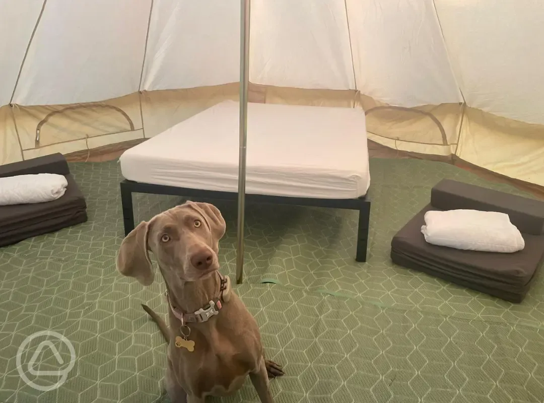 Unfurnished bell tents 