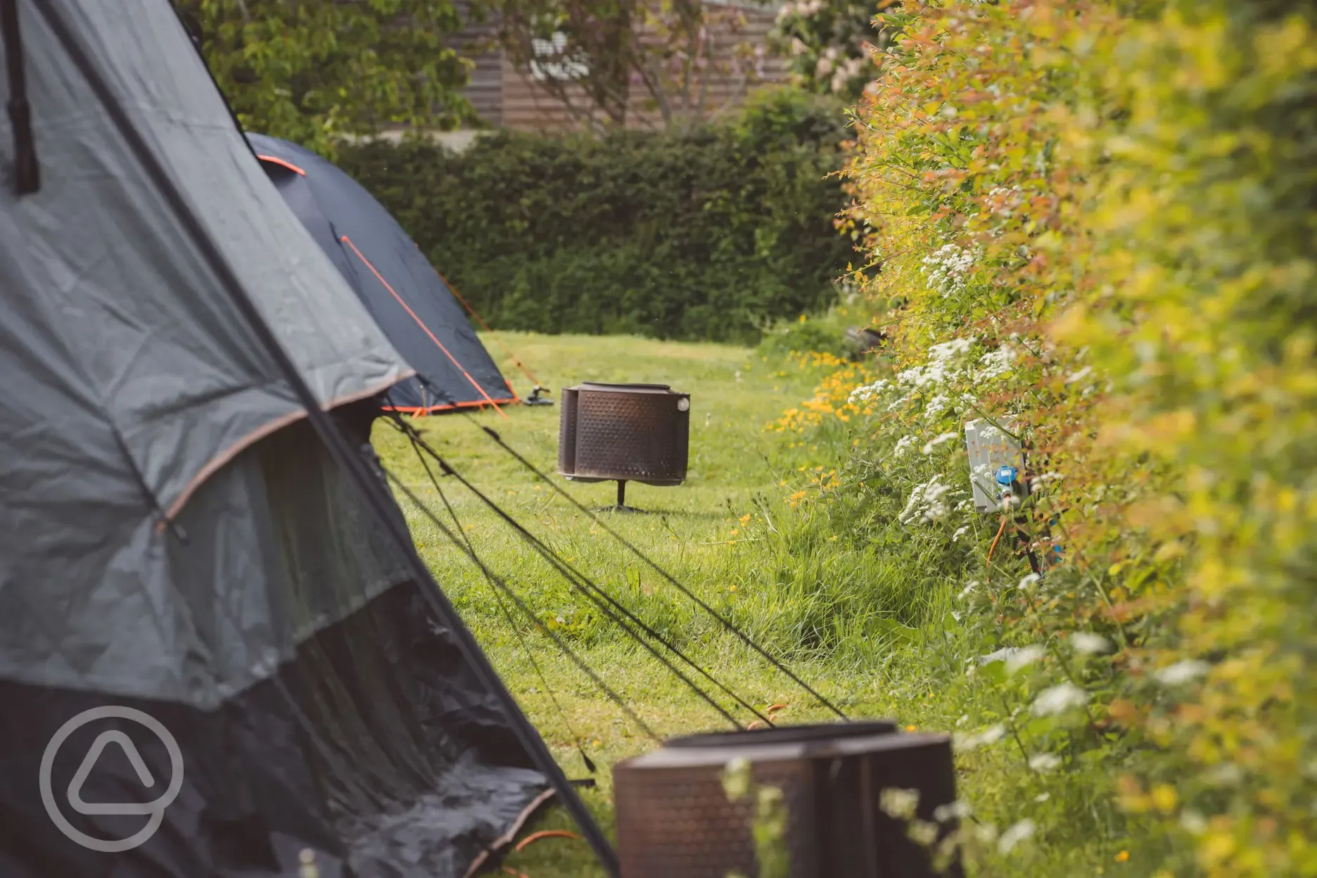 Electric grass pitches - Honeysuckle