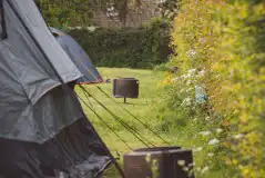Electric grass pitches - Honeysuckle Electric grass pitches - Honeysuckle