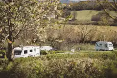 Electric grass pitches with 16 amp hook up - Honeysuckle (8m x 7m)