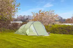 Electric grass pitches with 16 amp hook up - Honeysuckle (8m x 7m)